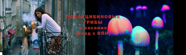 a pvp Алексин