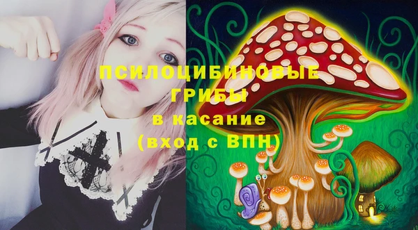 a pvp Алексин