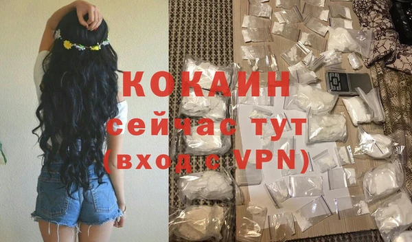 дживик Новозыбков