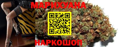 индика Анжеро-Судженск