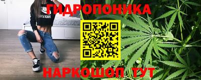 индика Анжеро-Судженск
