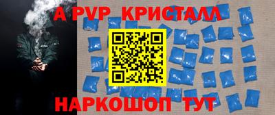 индика Анжеро-Судженск
