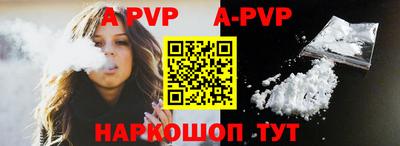 индика Анжеро-Судженск