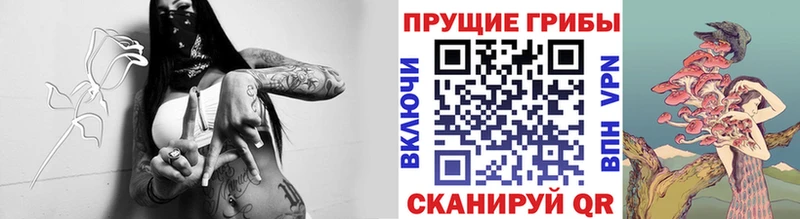 дарнет шоп  Петровск  Псилоцибиновые грибы GOLDEN TEACHER 