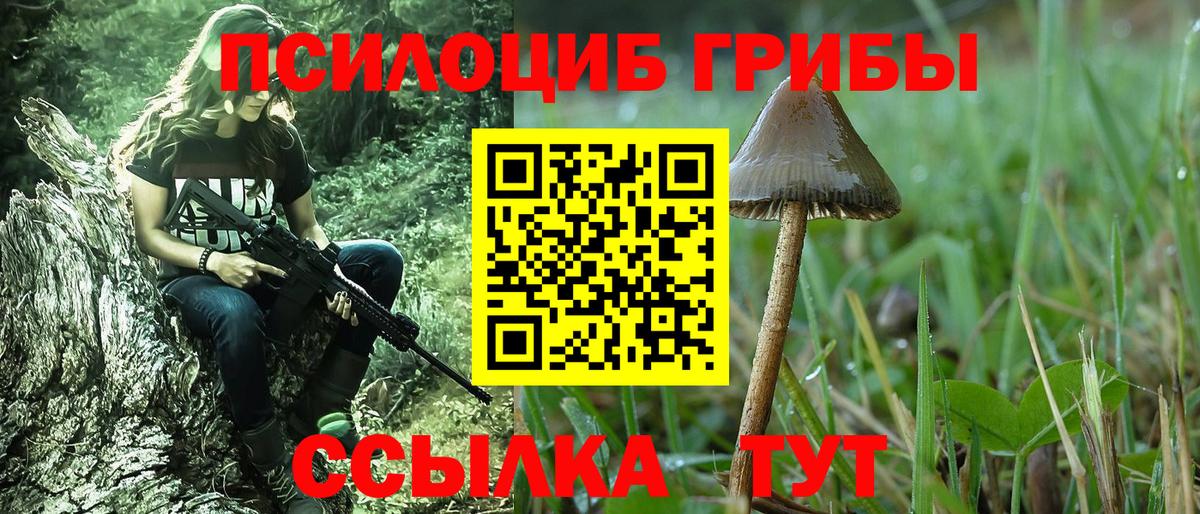 Псилоцибиновые грибы прущие грибы  Псилоцибиновые грибы мухоморы  Петровск  как найти наркотики  Вход с VPN 