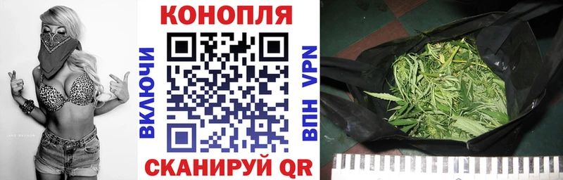что такое наркотик  Петровск  Каннабис Ganja 